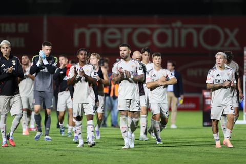 Benfica players celebrating with fans || Imago