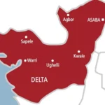 Delta Court Stops Police Enforcement Of Tinted Glass Permit