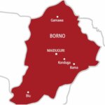 Scores of terrorists killed in attempted road ambush on troops in Borno