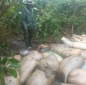 Army troops in action