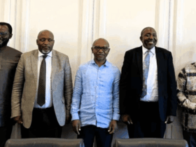 Unity drive strengthens as southern Africa embraces visa-free vision