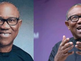 2027: Former Anambra State Governor, Peter Obi’s Fate In ADC, LP Hangs In The Balance