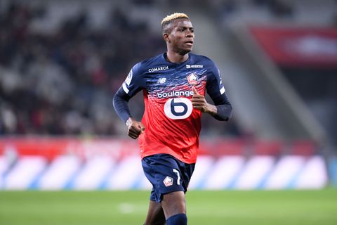 Victor Osimhen at Lille
