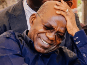 Abia to celebrate citizens that contribute to State's development - Otti