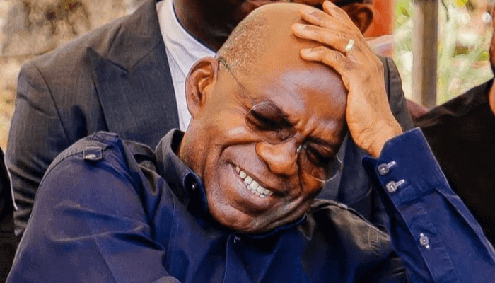 Abia to celebrate citizens that contribute to State's development - Otti