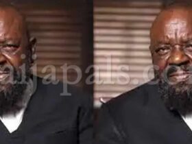 Aloy Ejimakor Describes Arrest Experience As Traumatic After Release From Kuje Prison