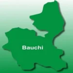 Bauchi govt demotes school official, dismisses two civil servants for misconduct