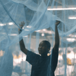 Bauchi to distribute five million mosquito nets in 2026