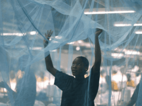 Bauchi to distribute five million mosquito nets in 2026