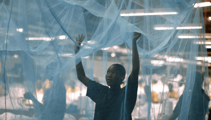 Bauchi to distribute five million mosquito nets in 2026