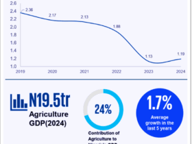 Beyond the Soil: Nigeria’s Agritech Revolution