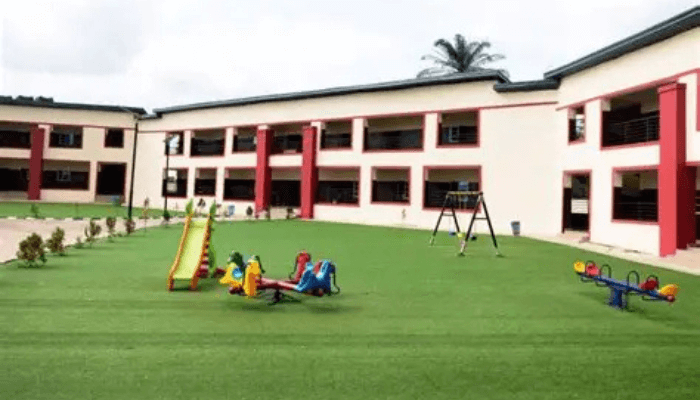 Education renaissance in Enugu: How Mbah’s Smart Schools are changing landscapes, creating jobs in rural communities