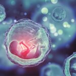 Eggs, Sperm For Sale: Deadly Price A’Ibom Students Pay At IVF Centres For Quick Wealth