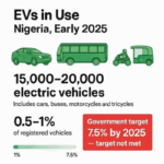 Electric Ambitions: The Nigerian EV ecosystem
