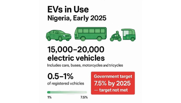 Electric Ambitions: The Nigerian EV ecosystem