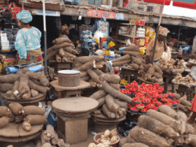 Fragile relief: As prices cool, smuggling, poor storage keep Nigeria food-insecure
