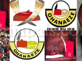 "Free Nnamdi Kanu Protest Has Killed Tribalism" – Ex-Ohanaeze VP