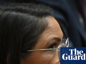 Jacinta Nampijinpa Price shouldn’t ‘just parrot’ claims without verifying, defamation trial hears
