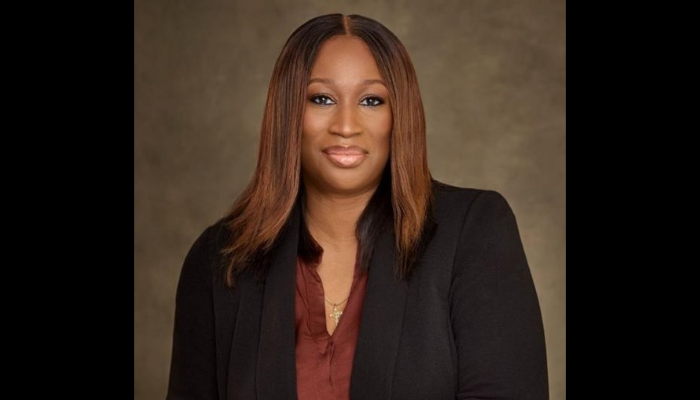 LFZ remains best investment destination for Nordic businesses in Nigeria – Ladoja