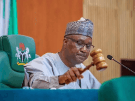 Lawmakers push diaspora voting bill, strengthen ties with NiDCOM