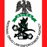 Man excretes 127 cocaine wraps at Kano airport as NDLEA uncovers meth in ceramics