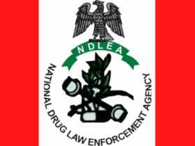 Man excretes 127 cocaine wraps at Kano airport as NDLEA uncovers meth in ceramics