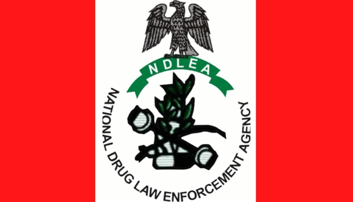 Man excretes 127 cocaine wraps at Kano airport as NDLEA uncovers meth in ceramics