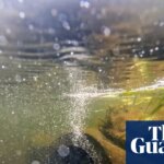 Millions in England face higher water bills after regulator backs more price rises