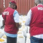 NDLEA Seizes 588kg Of Drugs, Destroys 6 Hectares Of Cannabis Farms In Adamawa