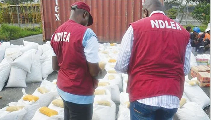 NDLEA Seizes 588kg Of Drugs, Destroys 6 Hectares Of Cannabis Farms In Adamawa