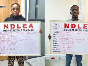 NDLEA intercepts drugs hidden in frozen snails, bulbs at Lagos airport
