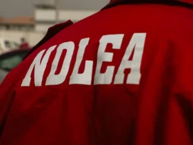 NDLEA raids Lagos nightclub, arrests Pretty Mike, 100 others over alleged drug party