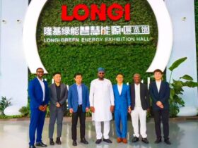 Nigeria, LONGi sign deal to establish solar panel factory, boost local production