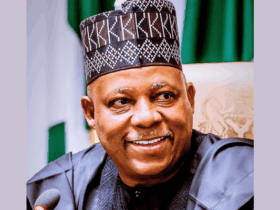Nigeria has overcome economic instability, ready for investments — Shettima