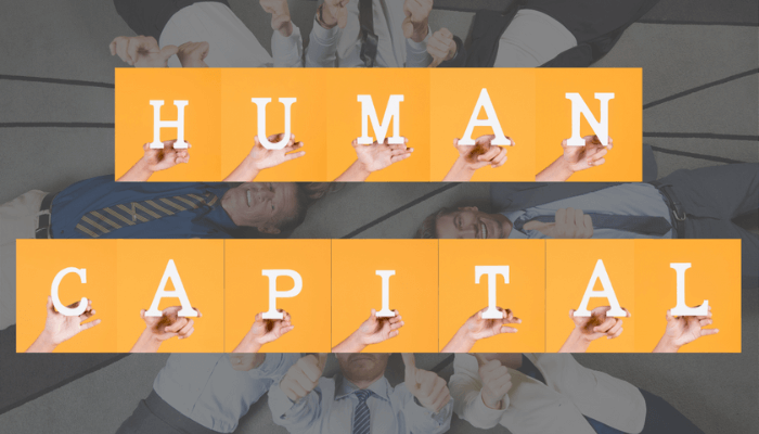 Nigeria needs human capital architecture, beyond talent development efforts