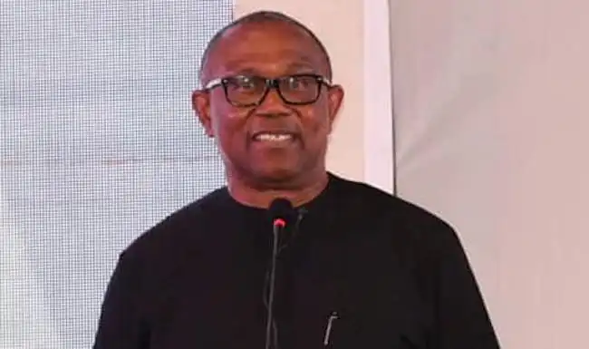 Nnaji’s certificate scandal exposes Nigeria’s moral decay – Peter Obi