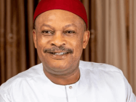 PDP crisis deepens as Anyanwu petitions DSS, Police, INEC over alleged forgery