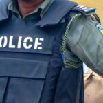 Police Arrest 72 Suspects, Recover Firearms, Rustled Cattles In Adamawa