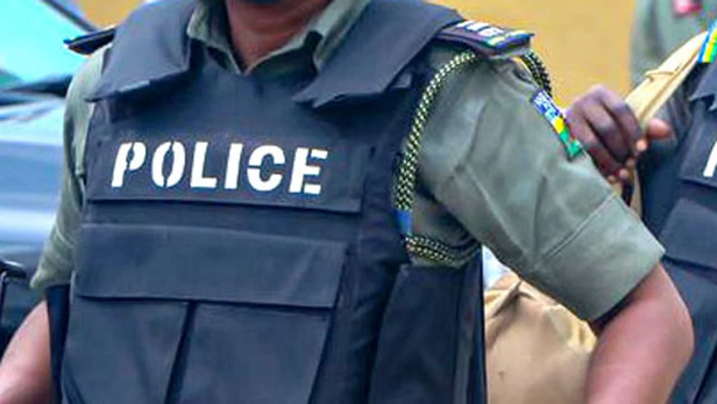 Police Arrest 72 Suspects, Recover Firearms, Rustled Cattles In Adamawa