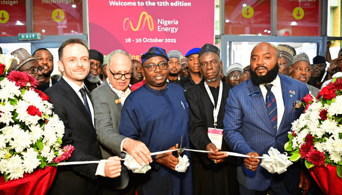 Private capital takes centre stage in Nigeria’s power future