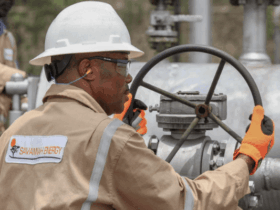 Savannah Energy raises £11.3m through NIPCO’s investment