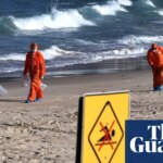 Secret report shows likely source of ‘poo balls’ that closed Sydney’s beaches last summer