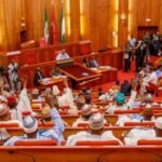 Senate Approves 10-yr Passport Ban For Nigerians Convicted Abroad