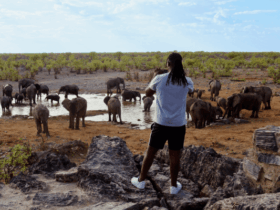 Senate approves wildlife protection bill, moves to toughen fight against trafficking