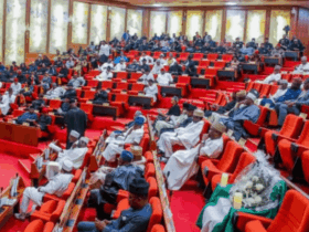 Senate calls for transparency, strict compliance in public procurement