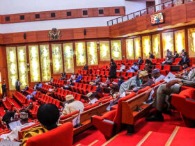 Senate counters Christian genocide allegations, set to engage U.S. lawmakers