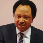 Shehu Sani cautions politicians on forgery of certificates