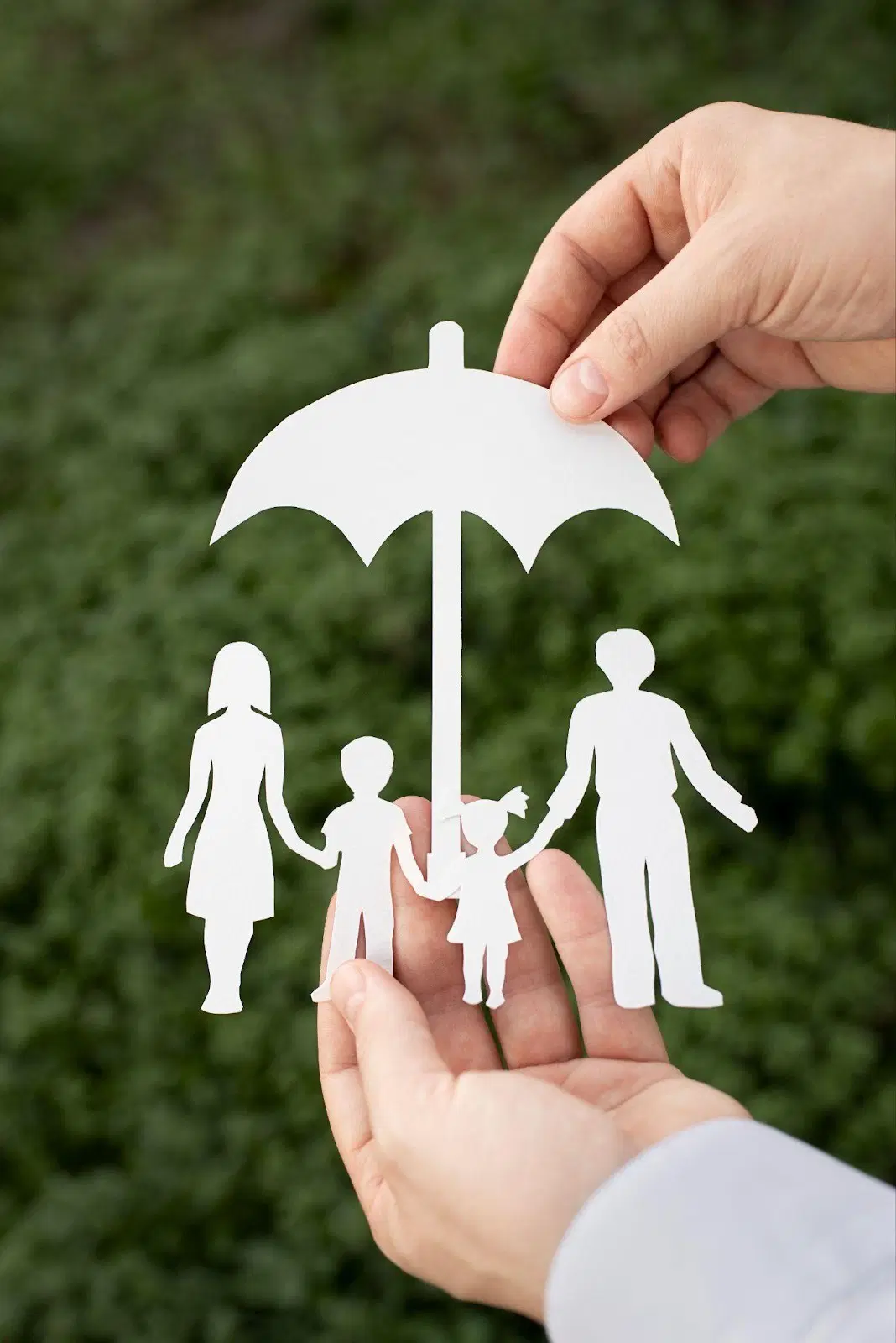 The Future of Term Insurance: Trends to Watch in 2025