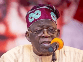 Tinubu’s controversial clemency - Businessday NG