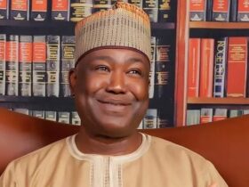 US Genocide Debate Sparked By Federal Government’s Failures – Gbenga Hashim